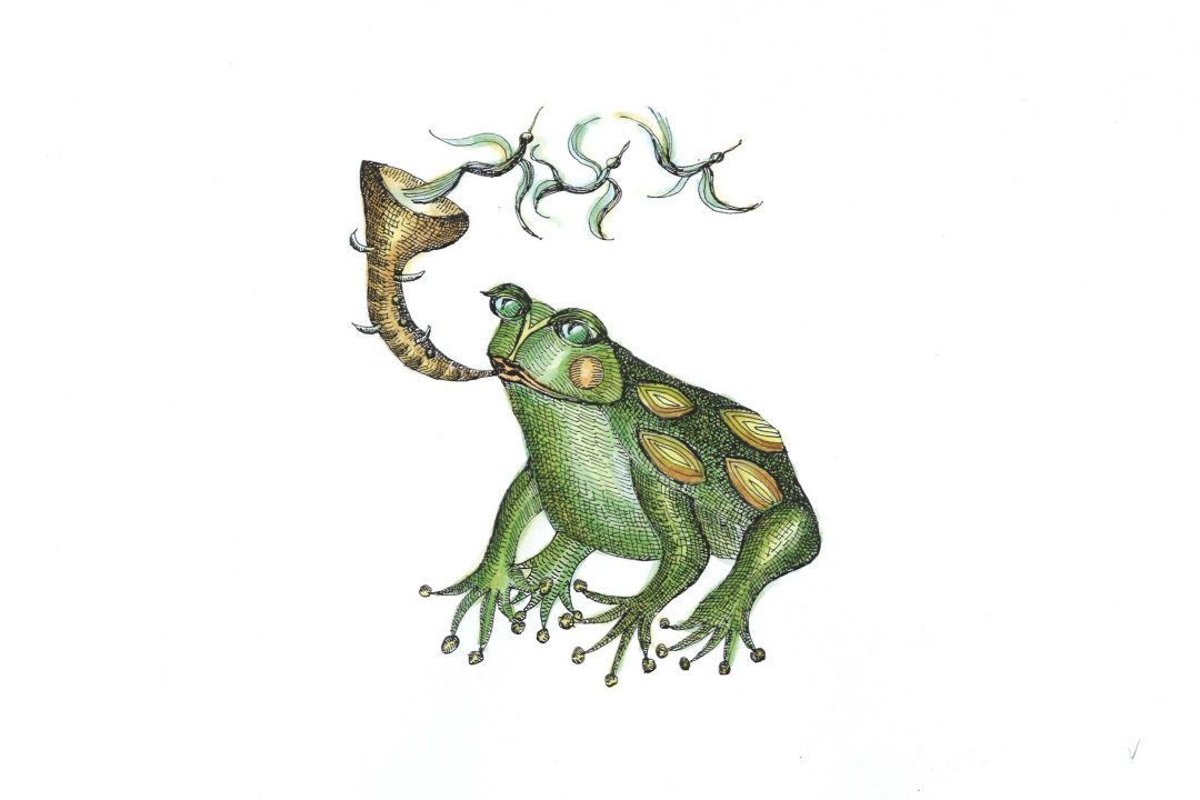 Sapo por Rosamar Corcuera para el libro Noé delirante de Arturo Corcuera