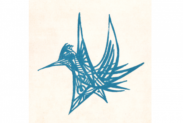 Ilustración "Colibrí" de Felix Nakamura para el poemario de Arturo corcuera, Noé delirante